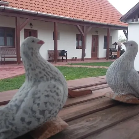 Vendégház Szenkeparti *